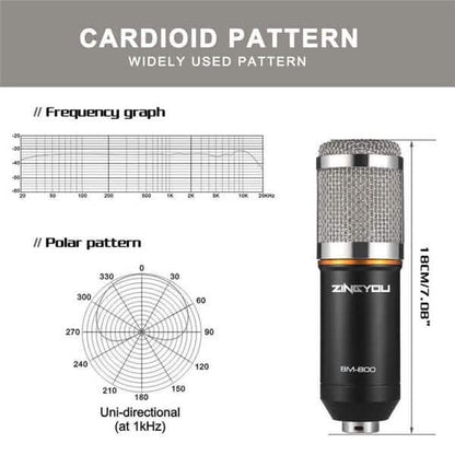 BM800 Professional Condenser Microphone