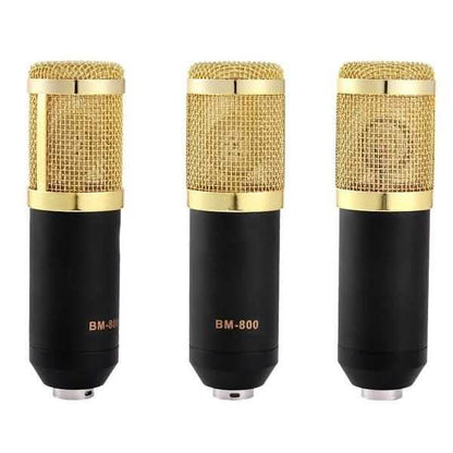 BM800 Professional Condenser Microphone