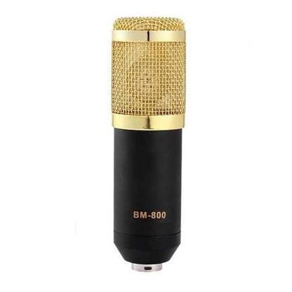 BM800 Professional Condenser Microphone