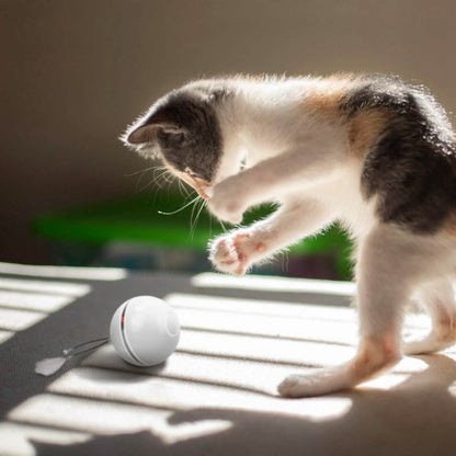 Cat Teaser Ball Automatic Self Rotating Interactive Cat Motion Exercise Toy