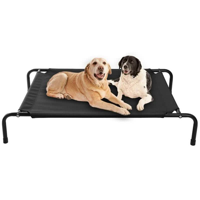 Cats and Dogs Elevated Pet Bed