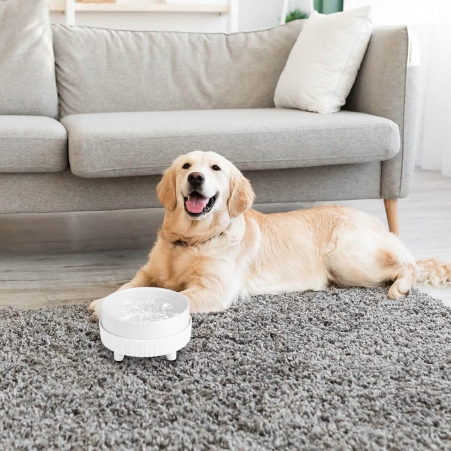Ceramic Heated Pet Water Bowl Food Warmer