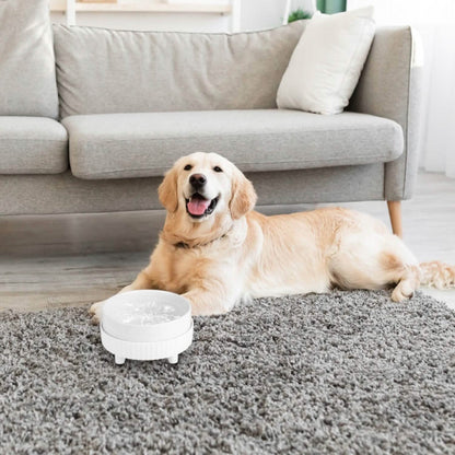 Ceramic Heated Pet Water Bowl Food Warmer
