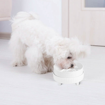 Ceramic Heated Pet Water Bowl Food Warmer