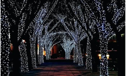 Solar-Powered 100 LED Fairy Light String - Assorted Colors