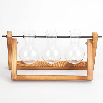 Desktop Glass Bulb Planter