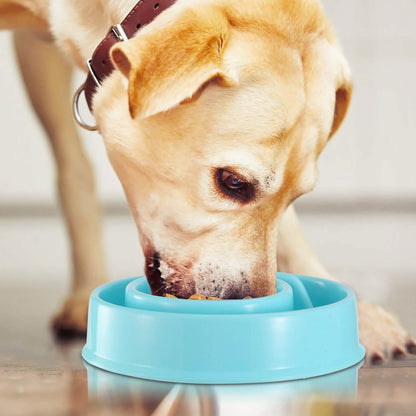 Dog Cat Slow Feeder Bowl