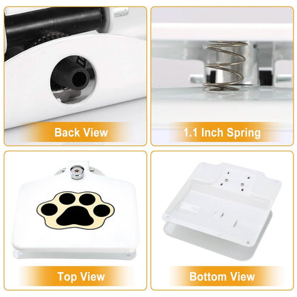 Dog Water Fountain