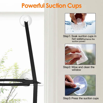 Double Layer Perch Bed Powerful Suction Indoor Window Hammock for Cat