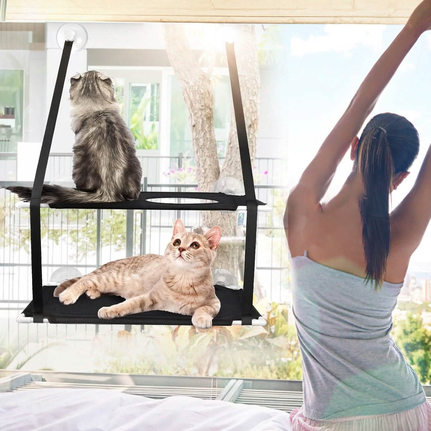 Double Layer Perch Bed Powerful Suction Indoor Window Hammock for Cat