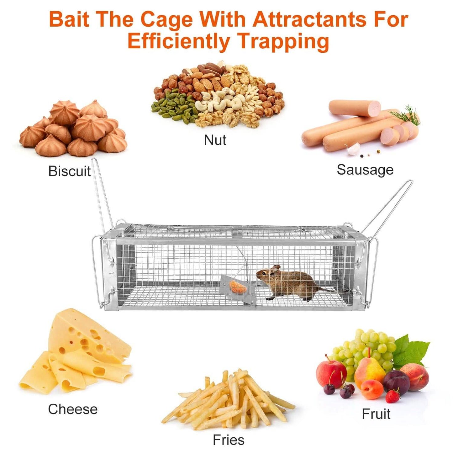 Dual Door Rat Trap Cage Humane with 2 Detachable U Shape Rod