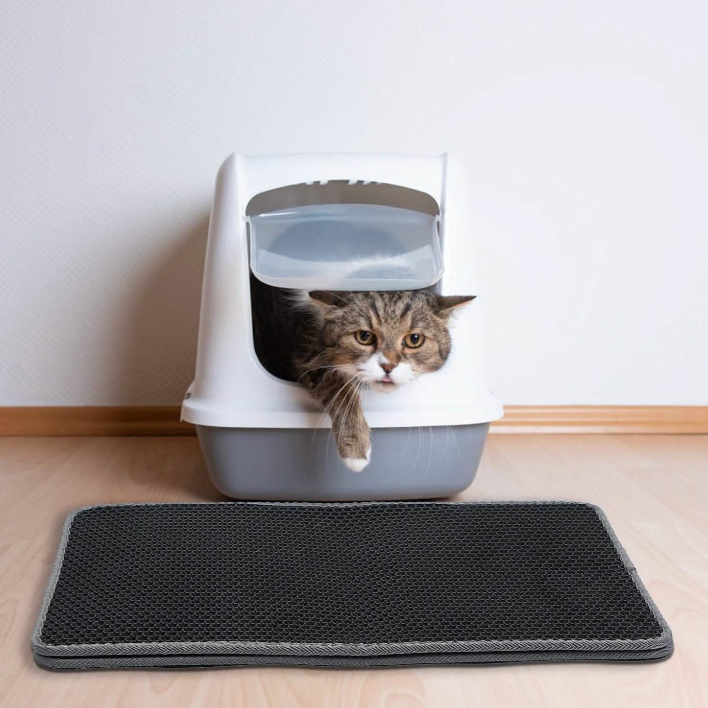 EVA Honeycomb Double Layer Cat Litter Mat
