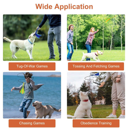 Extendable Dog Flirt Pole with 2 Replaceable Interactive Tail Toys
