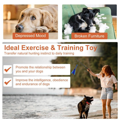 Extendable Dog Flirt Pole with 2 Replaceable Interactive Tail Toys