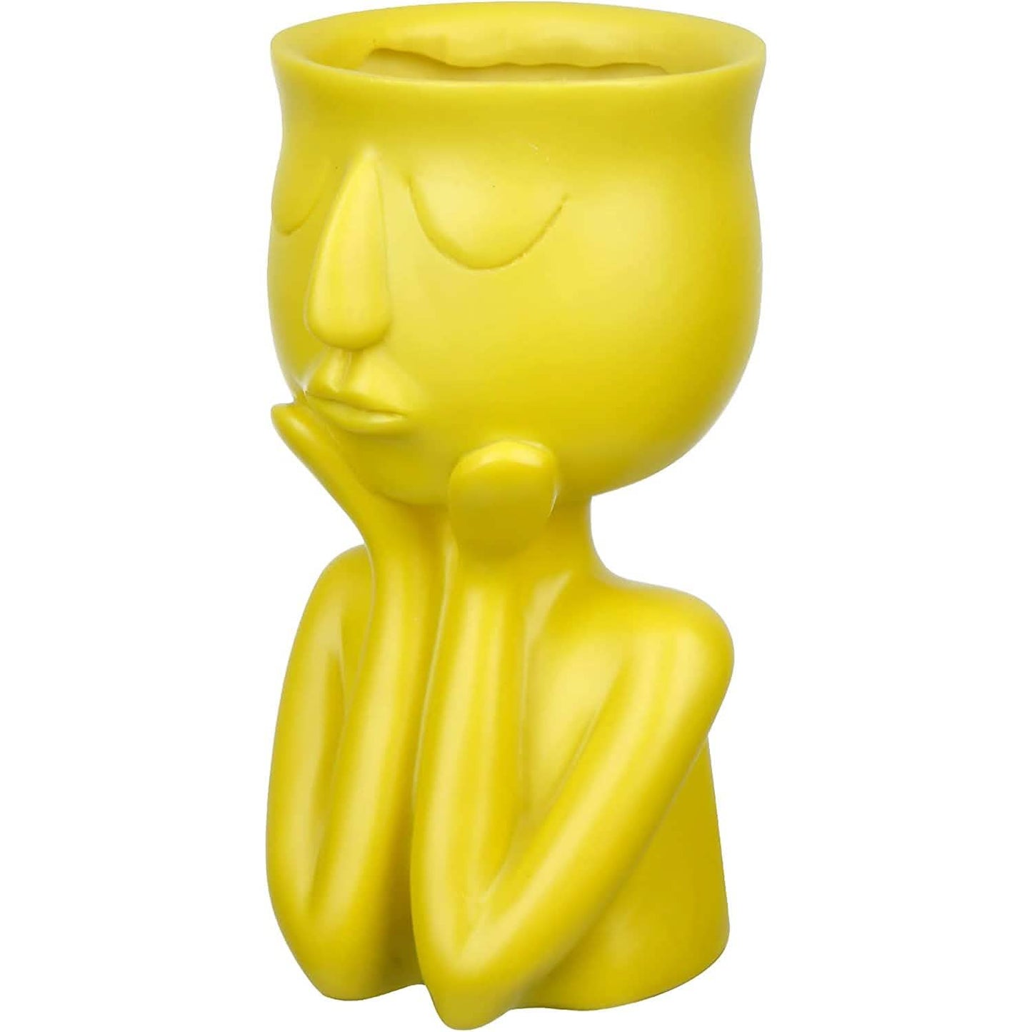 Face Flower Pot Head Planter