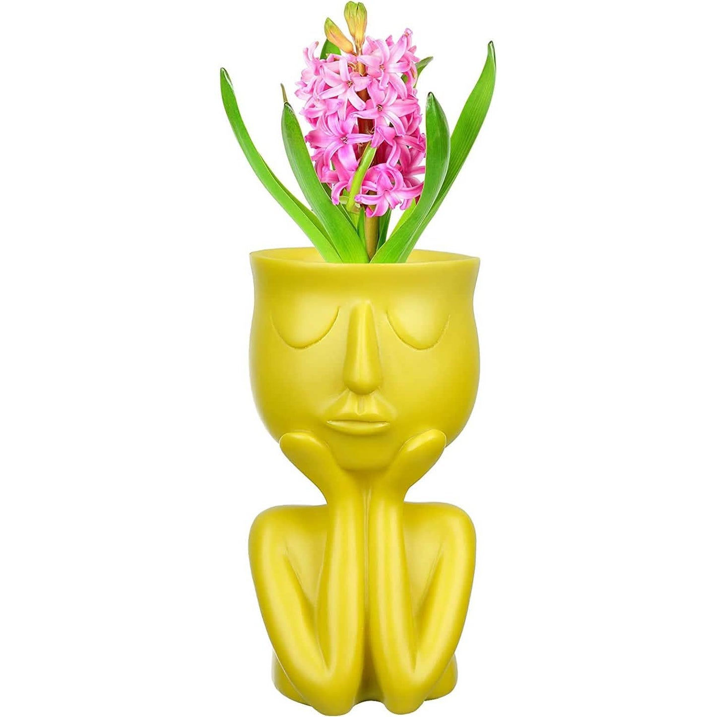 Face Flower Pot Head Planter