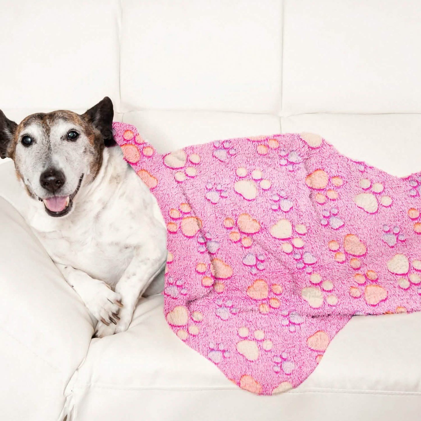 Fluffy Dog Cat Blanket