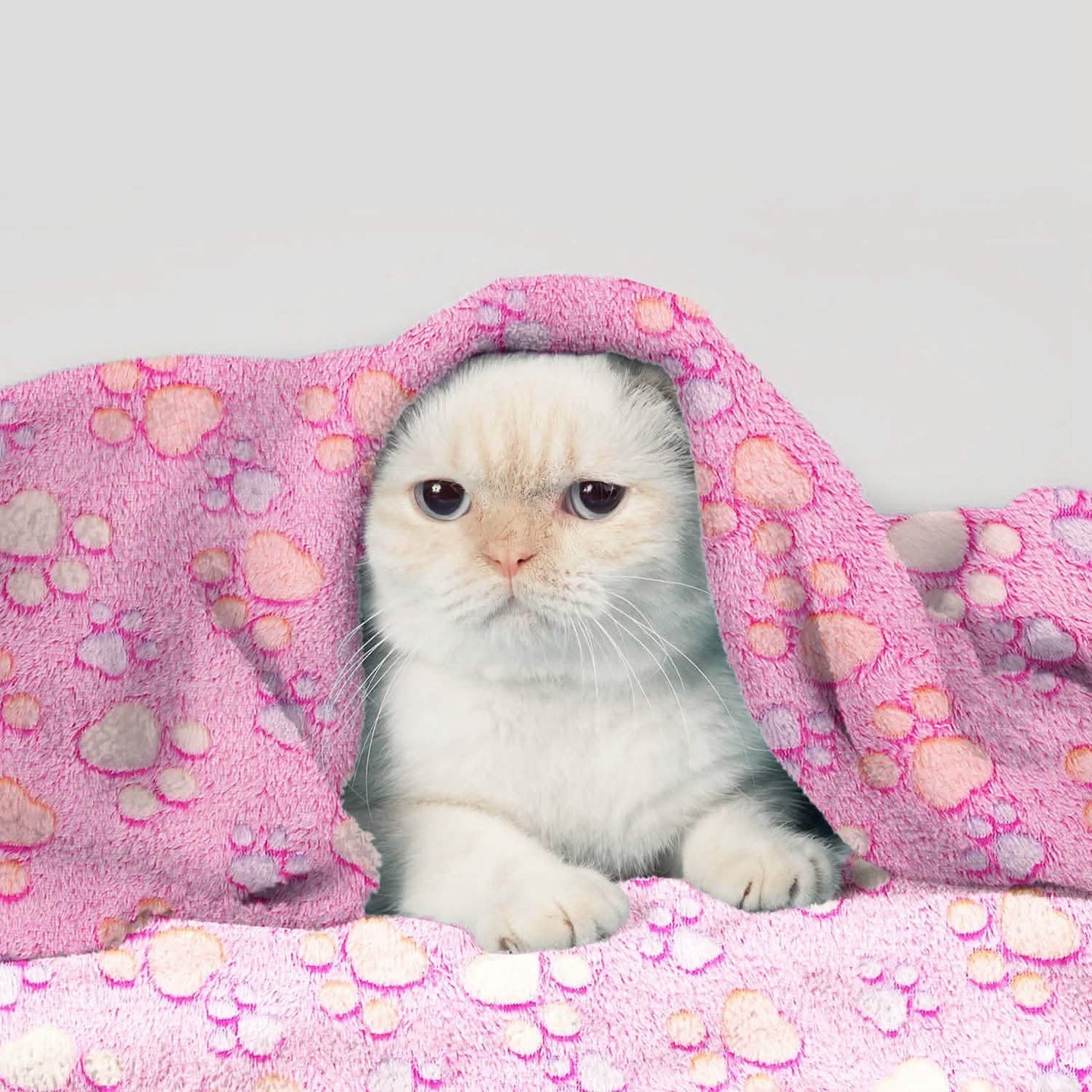Fluffy Dog Cat Blanket