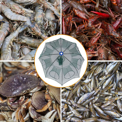 Foldable Fishing Bait Net Trap