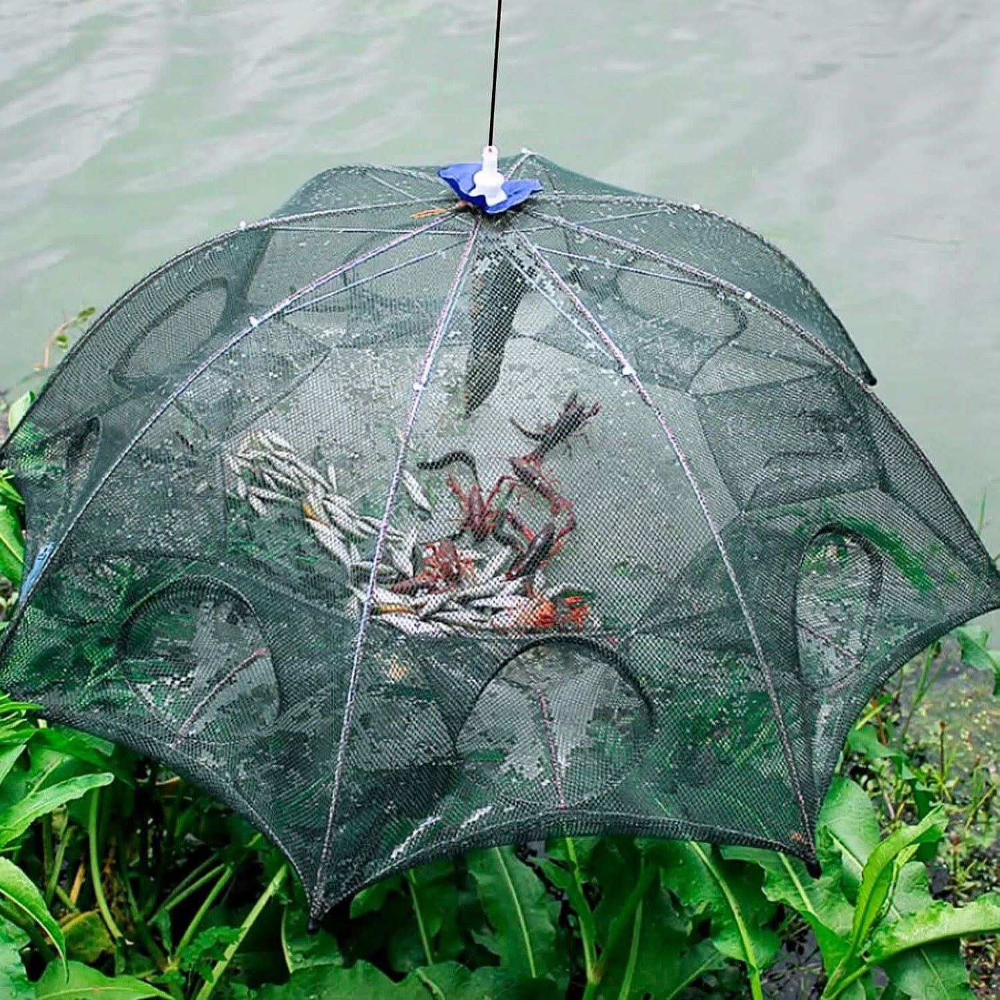 Foldable Fishing Bait Net Trap