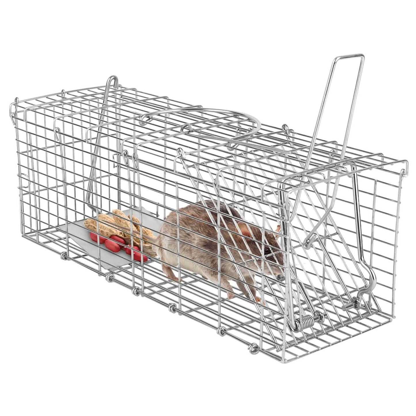 Foldable Rat Trap Cage Humane Live Rodent Trap Cage