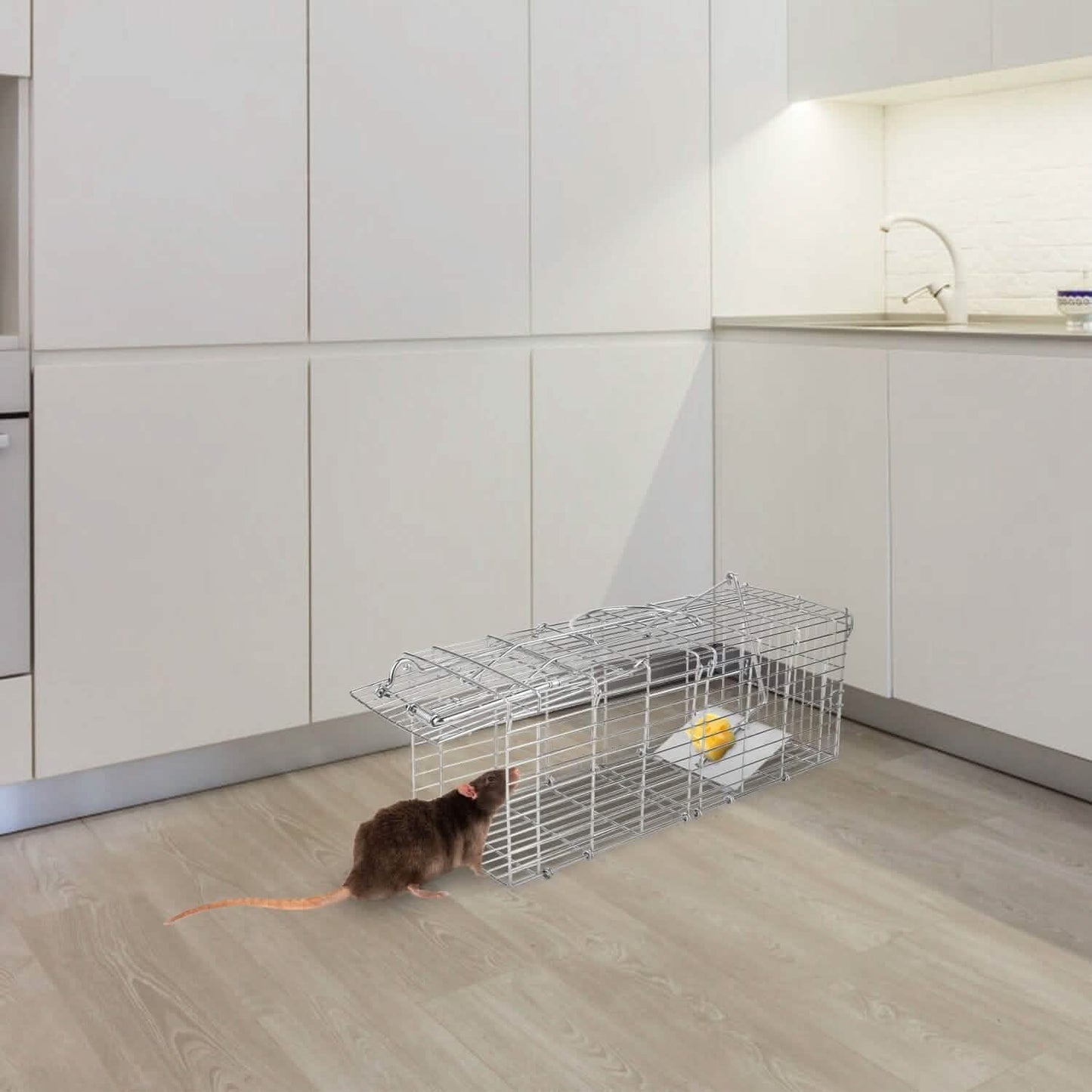 Foldable Rat Trap Cage Humane Live Rodent Trap Cage