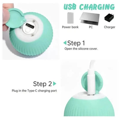 Found Notice Smart Interactive Cat Toy