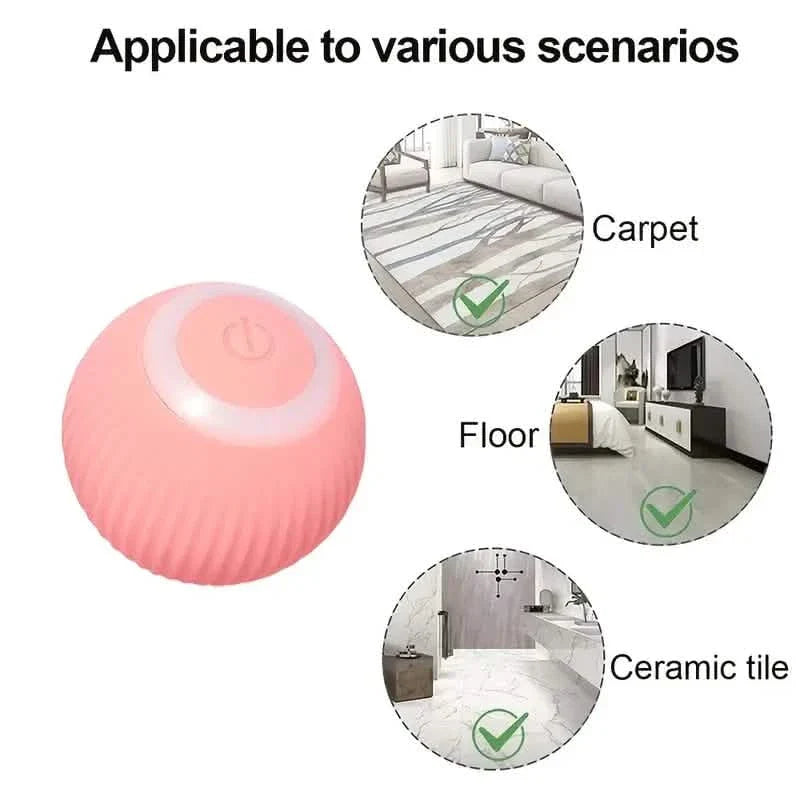 Found Notice Smart Interactive Cat Toy