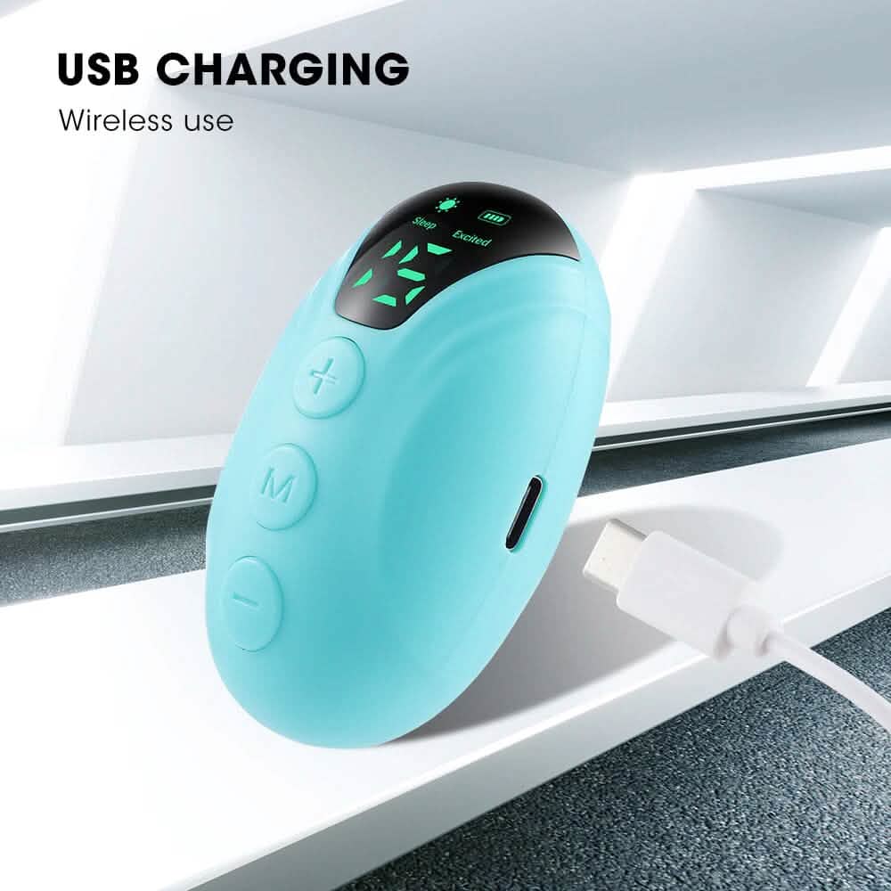 Handheld Sleep Instrument