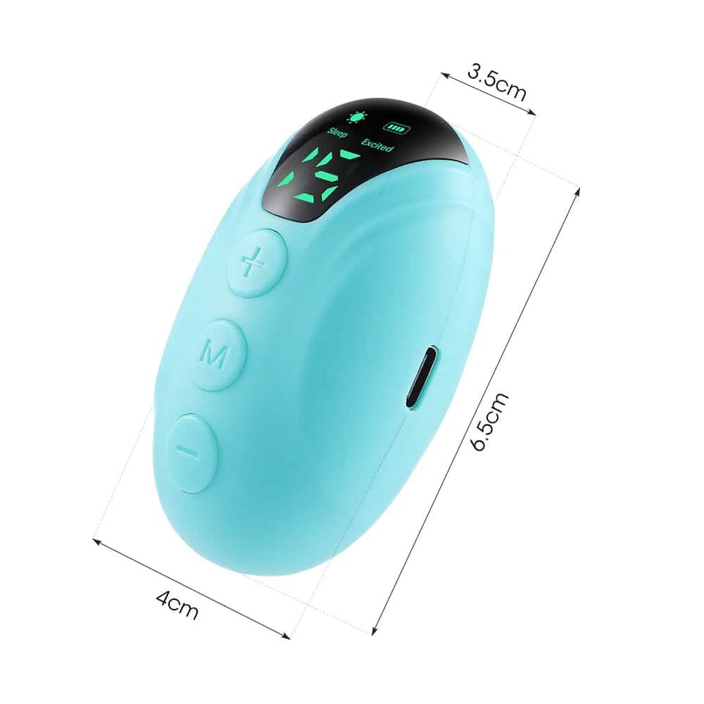 Handheld Sleep Instrument