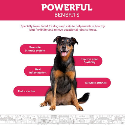 Hip and Joint Advanced Level 2 Formula All Natural Glucosamine Supplement for Dogs and Cat