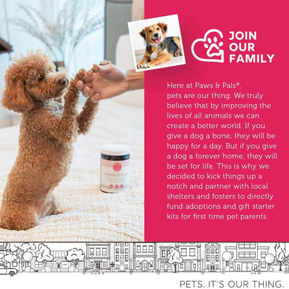 Hip and Joint Advanced Level 2 Formula All Natural Glucosamine Supplement for Dogs and Cat