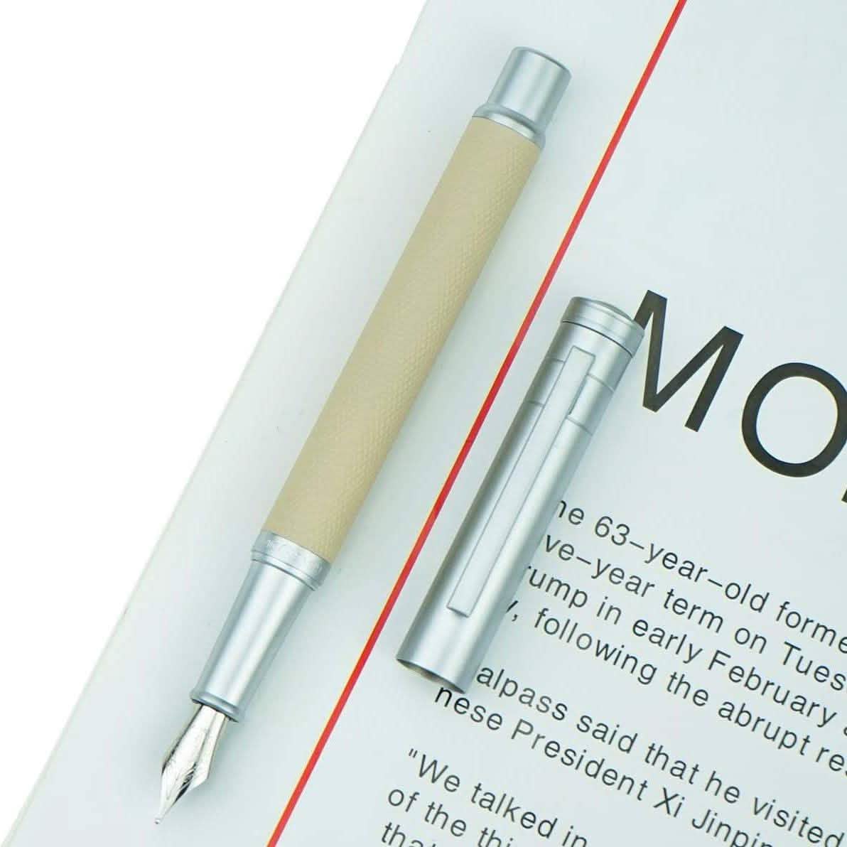 Hongdian Silver Birch Forest Fountain Pen