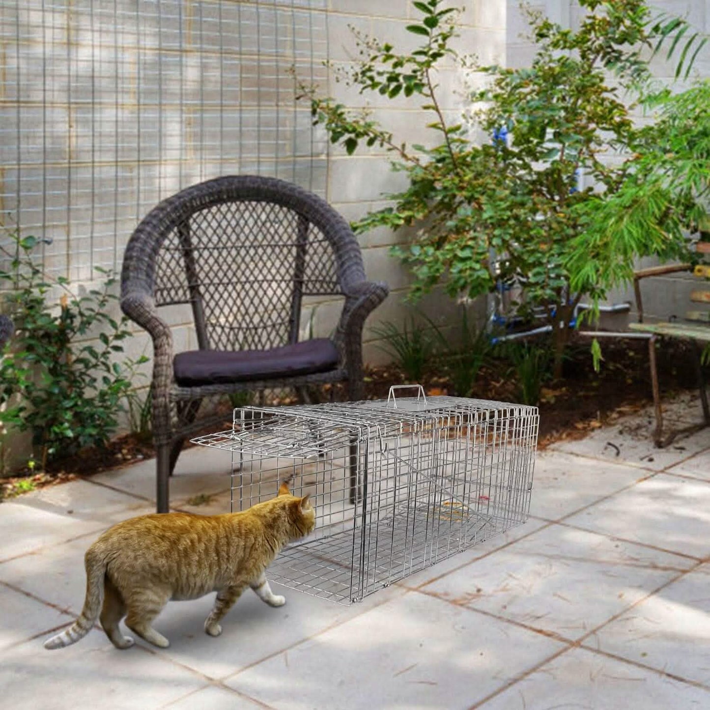 Humane Catch Release Live Animal Collapsible Galvanized Wire Trap Cage
