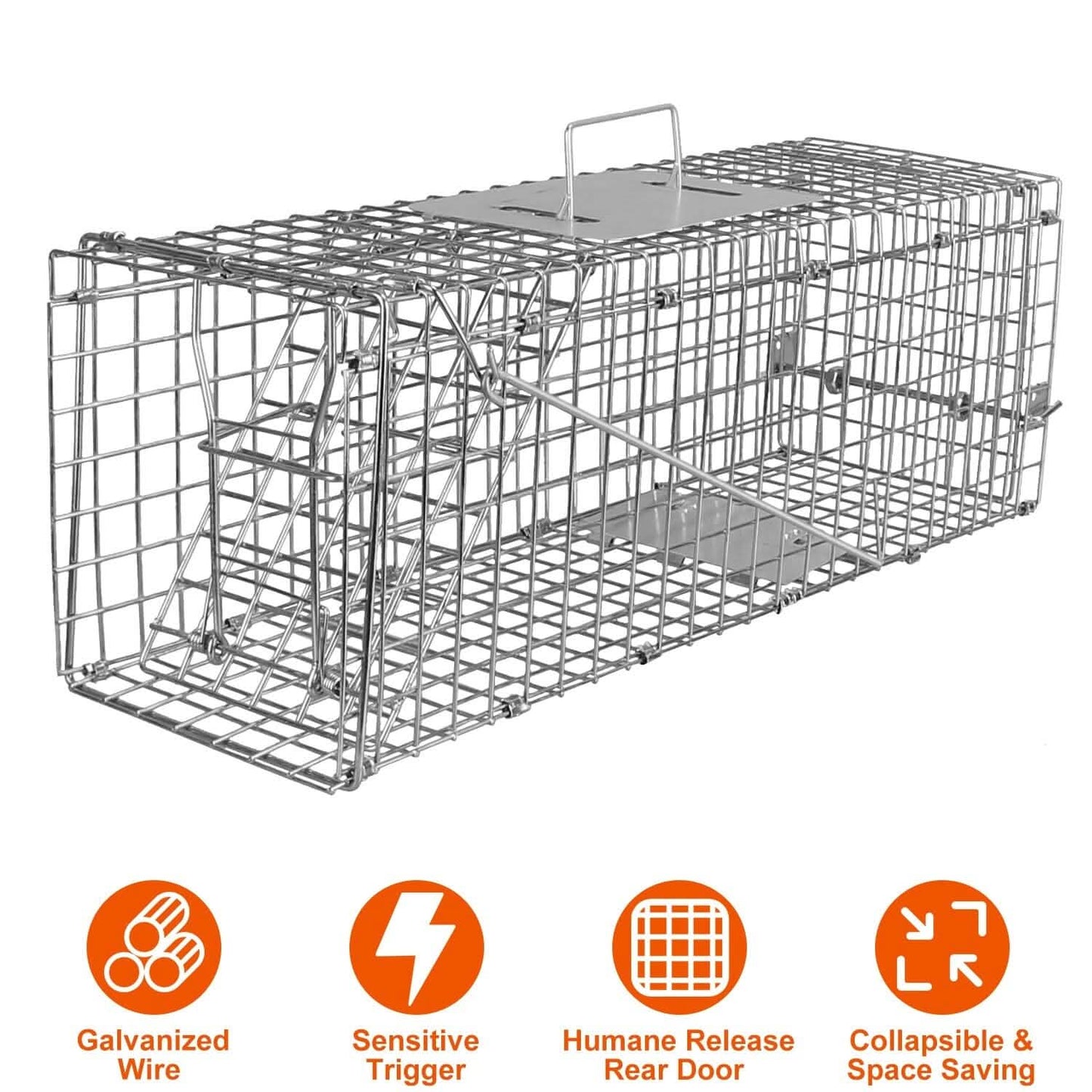 Humane Live Animal Rodent Cage Collapsible Galvanized Wire