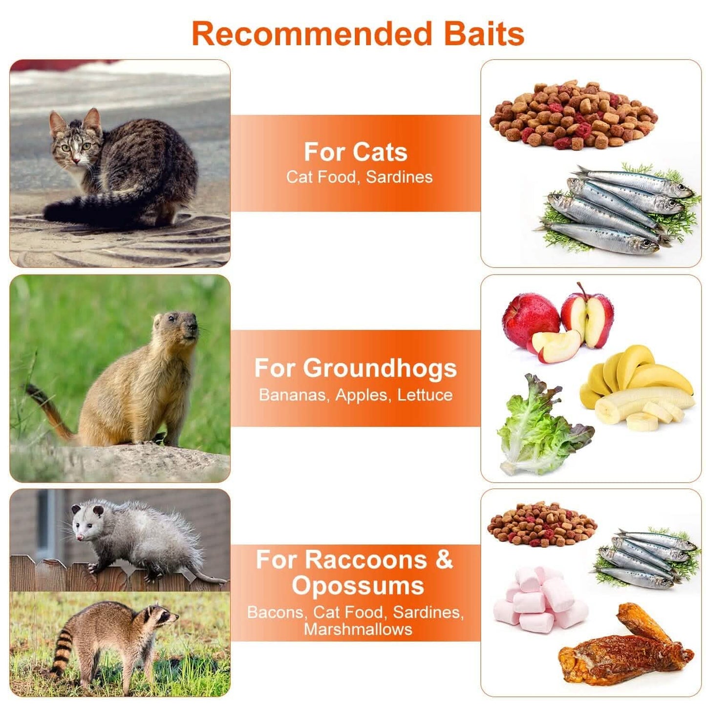 Humane Live Animal Rodent Cage Collapsible Galvanized Wire
