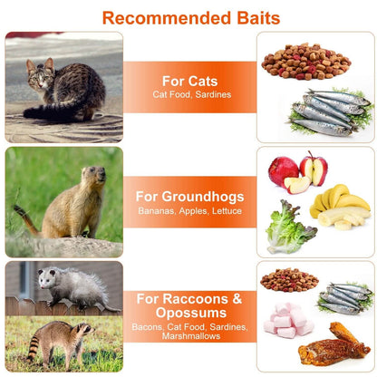Humane Live Animal Rodent Cage Collapsible Galvanized Wire