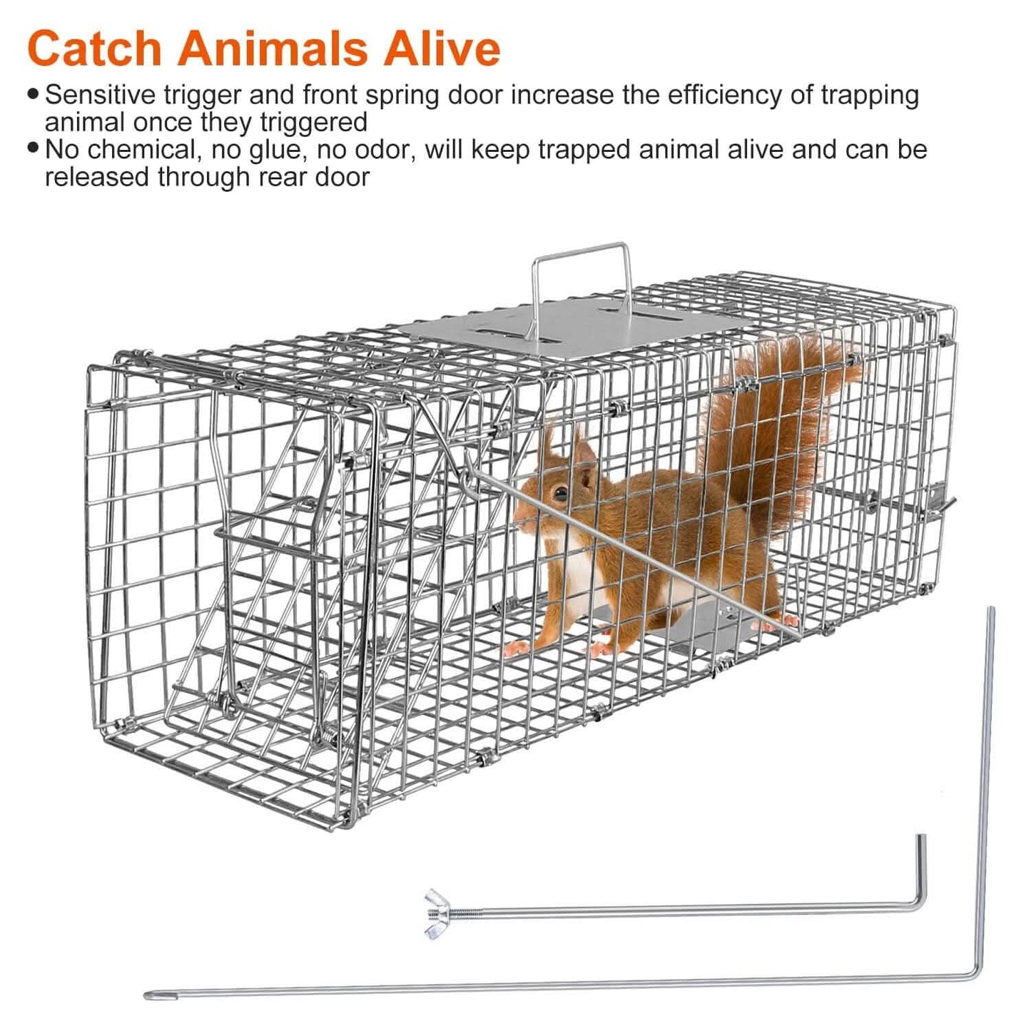 Humane Live Animal Rodent Cage Collapsible Galvanized Wire