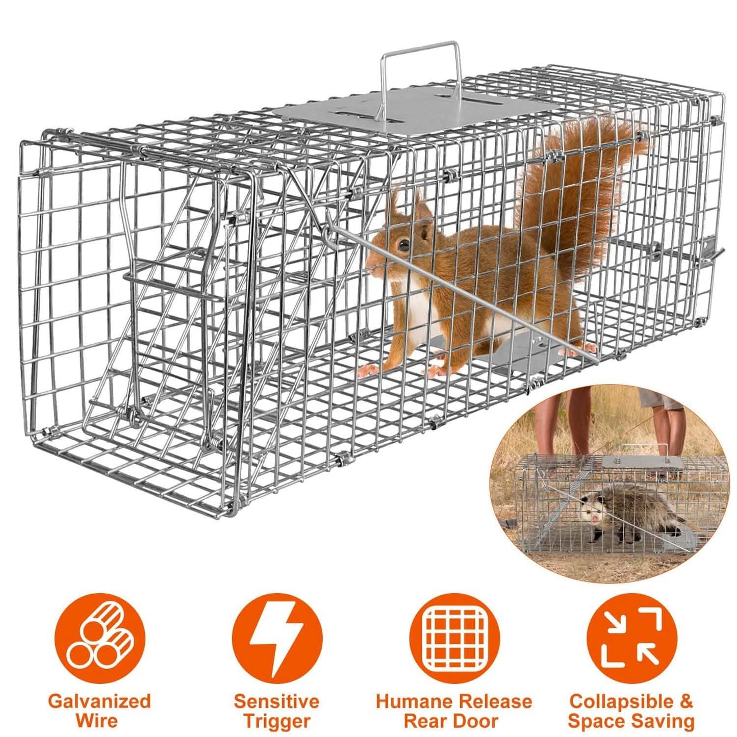 Humane Live Animal Rodent Cage Collapsible Galvanized Wire