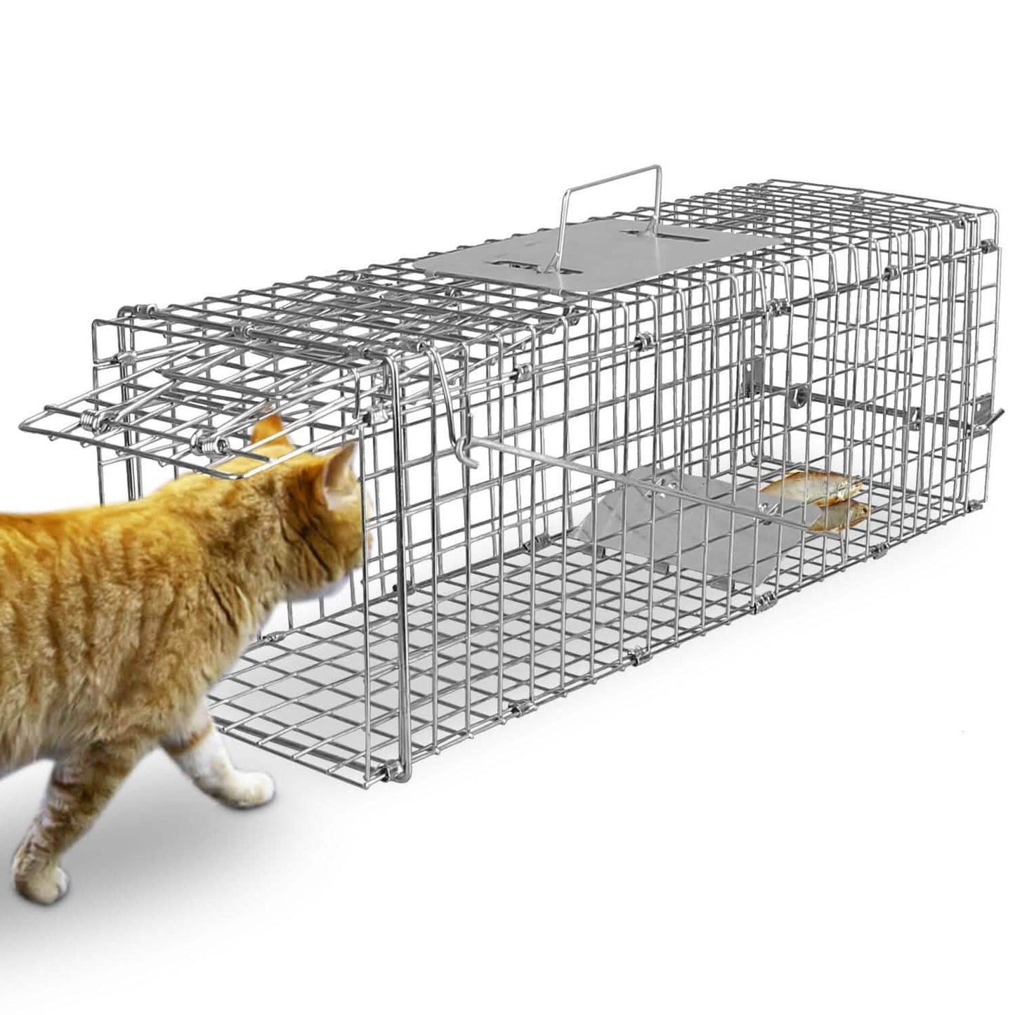 Humane Live Animal Rodent Cage Collapsible Galvanized Wire
