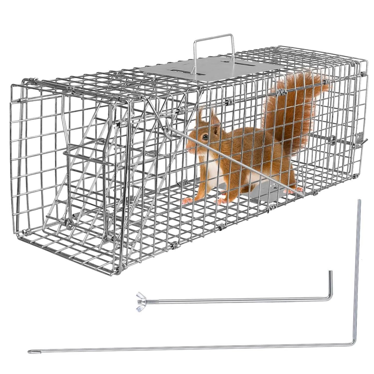Humane Live Animal Rodent Cage Collapsible Galvanized Wire