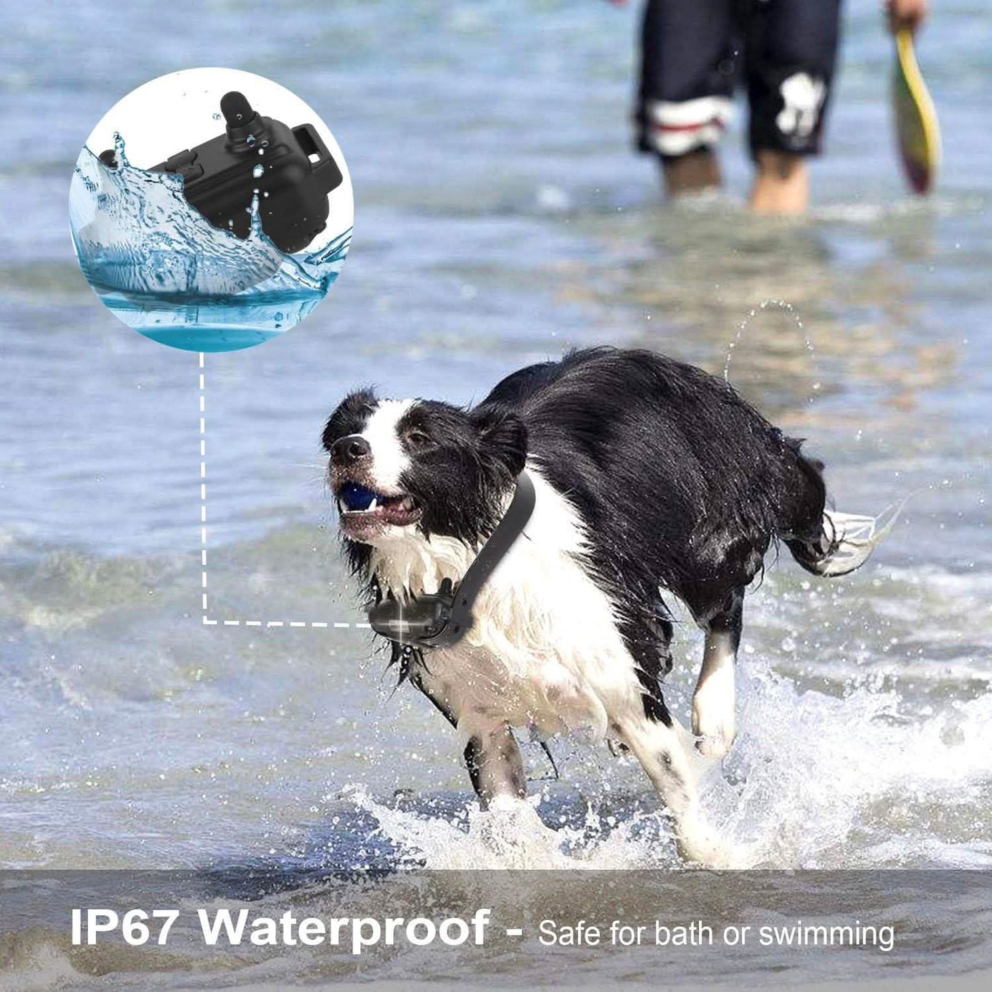 iMountek Dog Training Collar IP