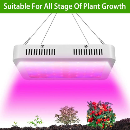 iMountek LED Plant Grow Lights 1000W