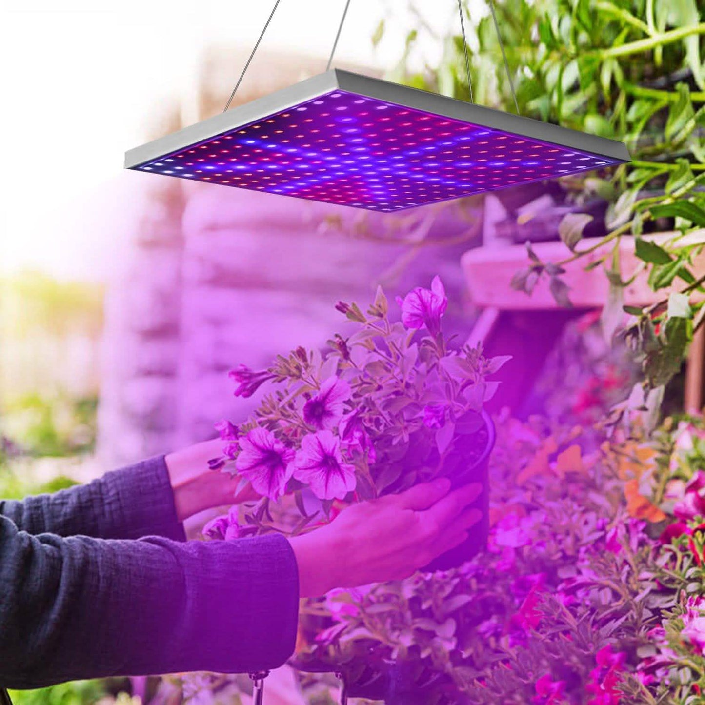 LED Grow Light Full Spectrum Hanging