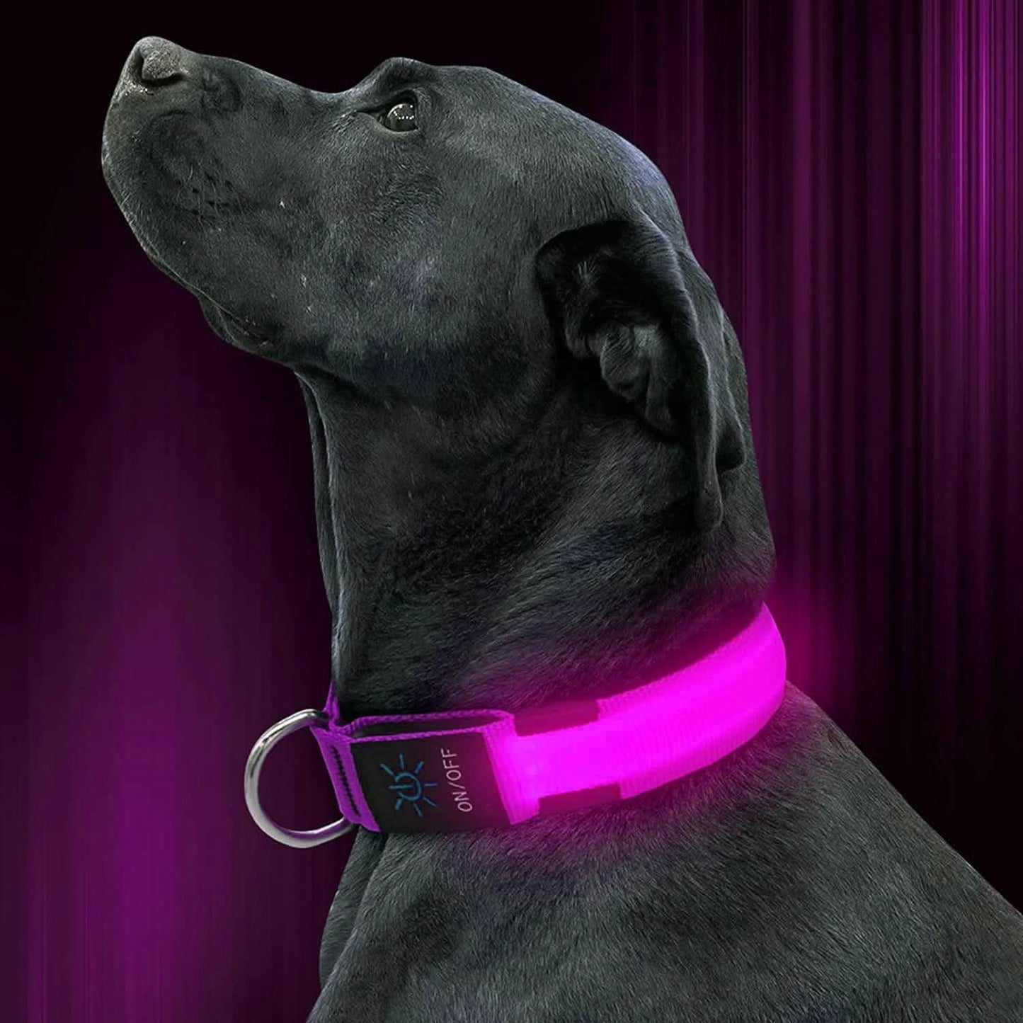 LED Pet Collar