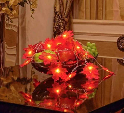 Lighted Fall Garland 40 LED String Light