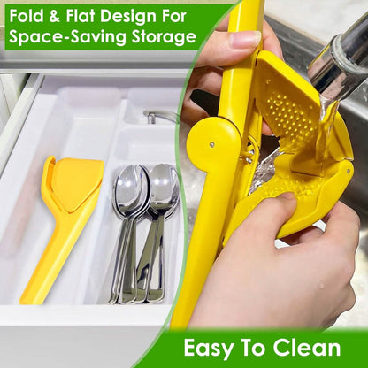 Manual Lemon Squeezer Fold Flat Design