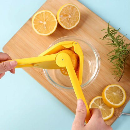 Manual Lemon Squeezer Fold Flat Design