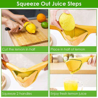 Manual Lemon Squeezer Fold Flat Design