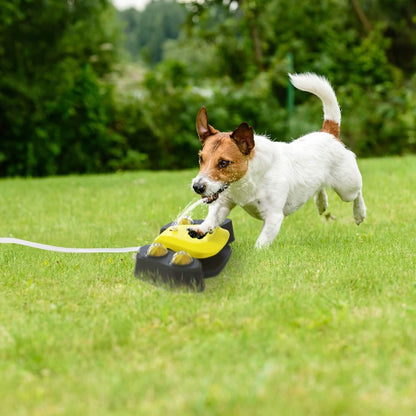 Multifunctional Automatic Pet Water Dispenser Outdoor Step-on Activated Sprinkler